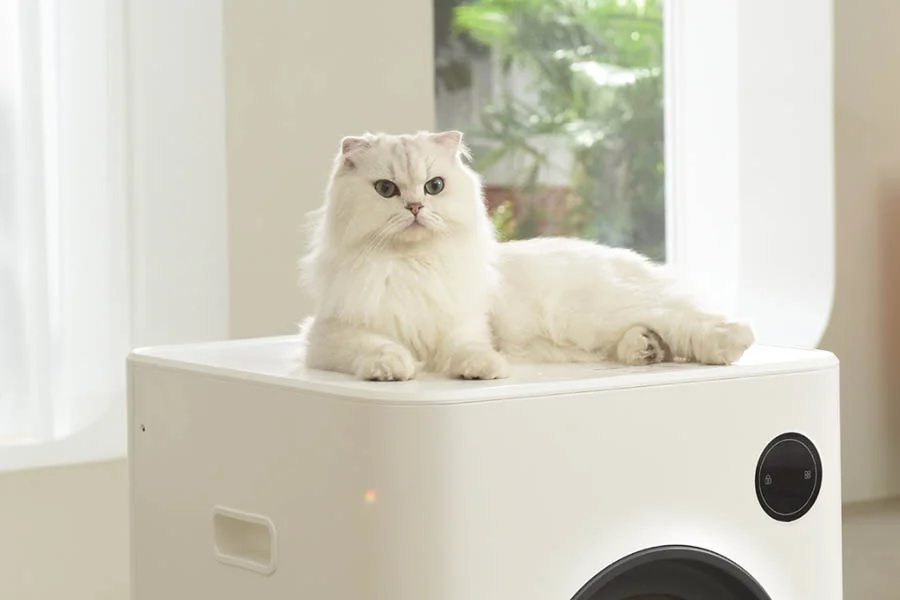 multi cat litter box